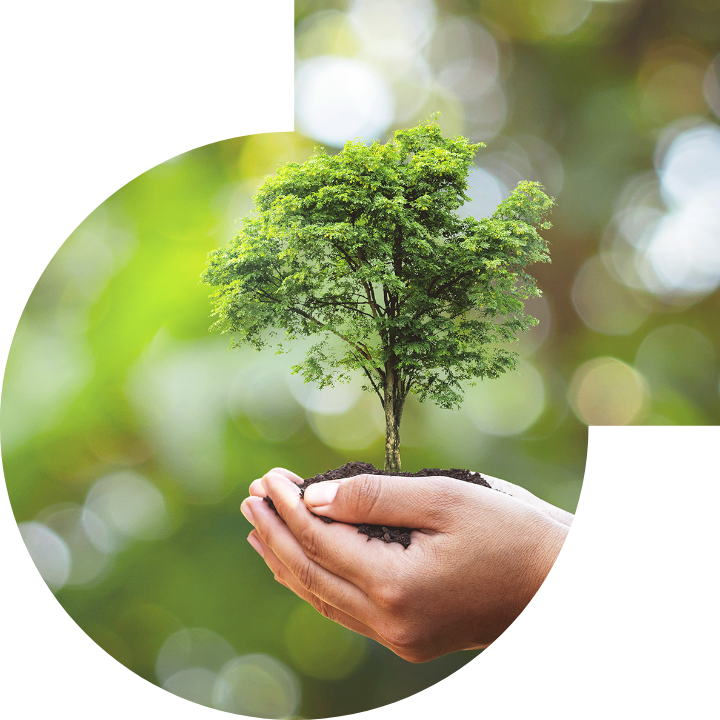 关怀人类、文化、环境与社会